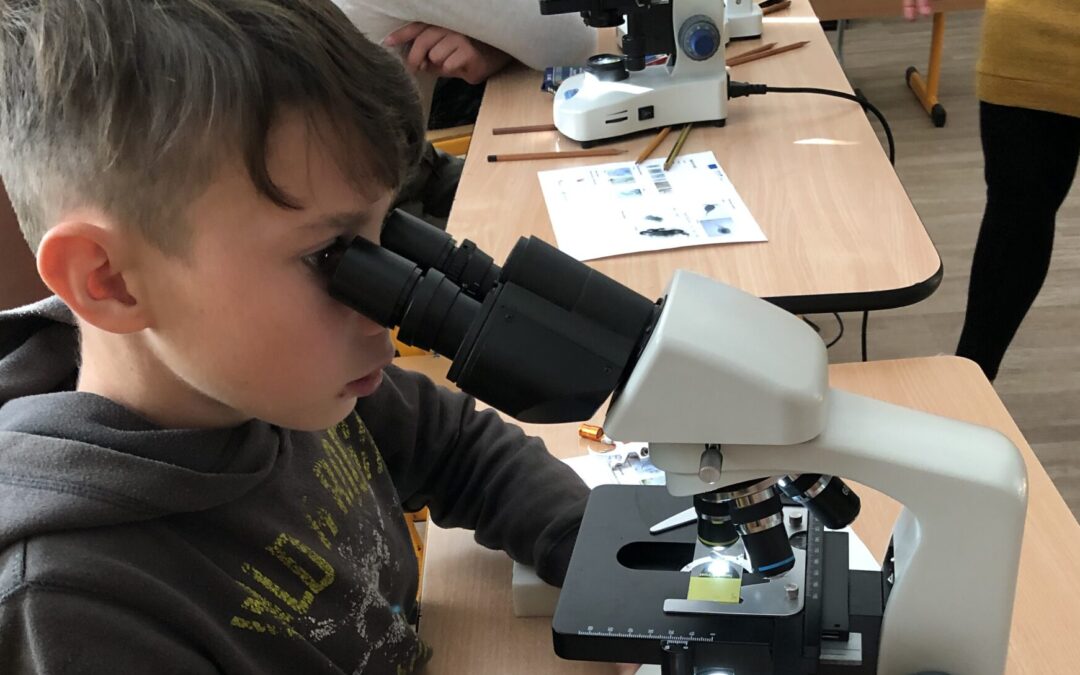 Mikroskopování se šesťáky a sedmáky