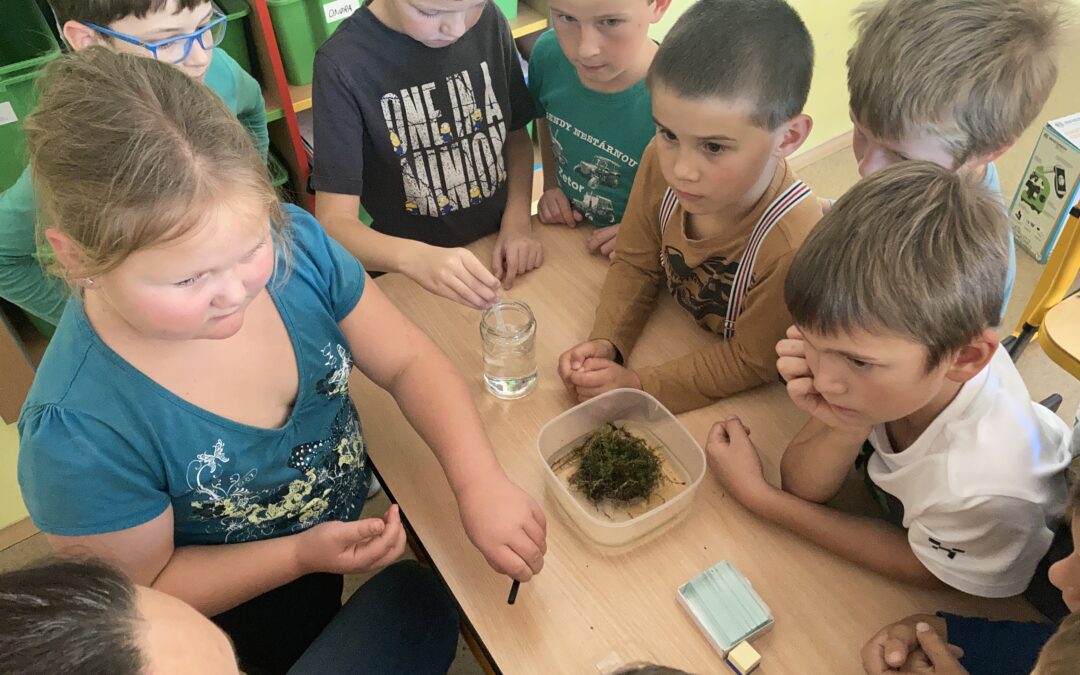 Bádáme potřetí
