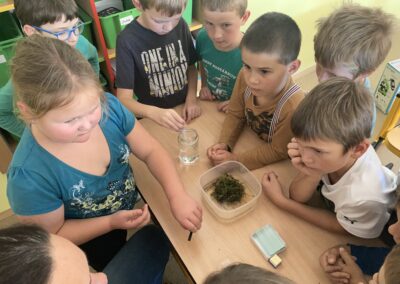 Bádáme potřetí