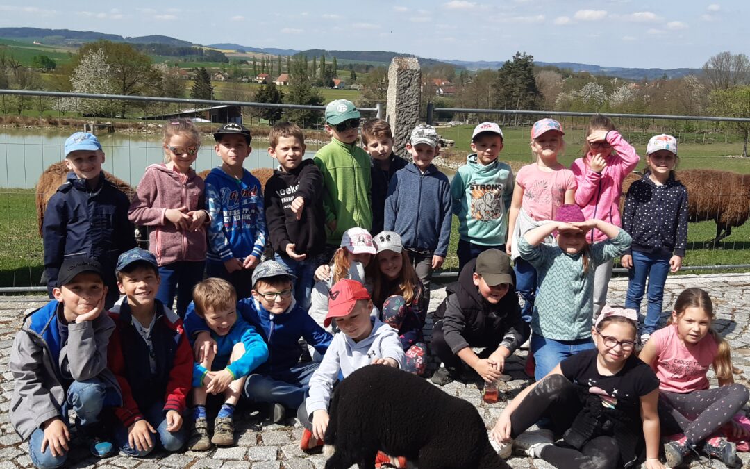 Družina na ovčí farmě