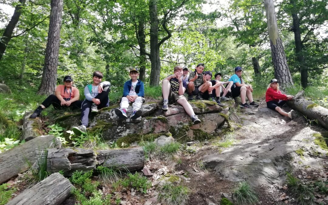 DOBÝVÁNÍ SKOČICKÉHO HRADIŠTĚ