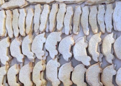 Autíčka na Rally Pačejov