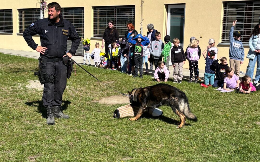 DEN S POLICIÍ
