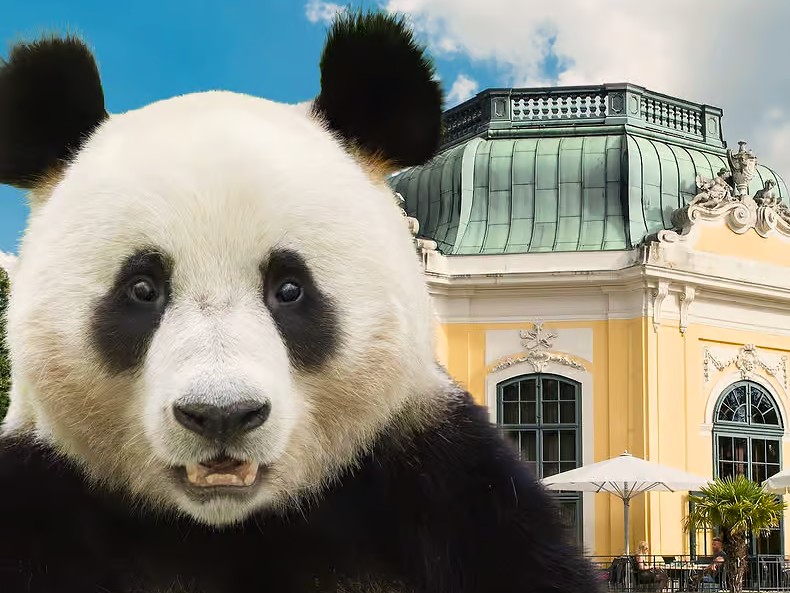 Poznávací zájezd žáků 2. stupně do ZOO ve Vídni